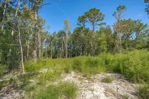 1532 Martin Luther King Blvd, Hopkins, SC 29061 - Photo 10