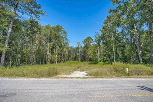 1532 Martin Luther King Blvd, Hopkins, SC 29061 - Photo 4