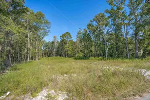 1532 Martin Luther King Blvd, Hopkins, SC 29061 - Photo 6