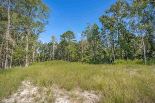 1532 Martin Luther King Blvd, Hopkins, SC 29061 - Photo 8