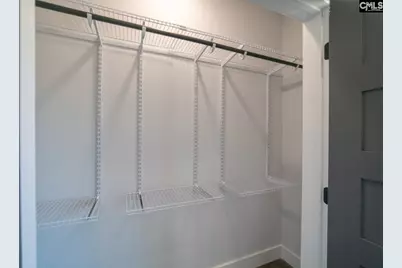 41 Dinkins Place Road, Blythewood, SC 29016 - Photo 52