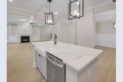 307 Murray Falls Lane, Chapin, SC 29036 - Photo 16