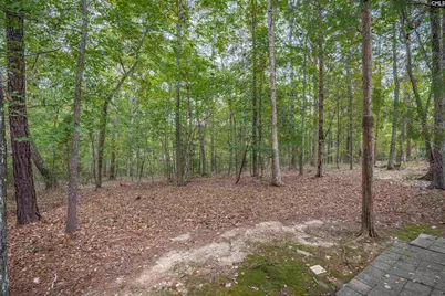 1300 Steeple Ridge Road, Irmo, SC 29063 - Photo 60