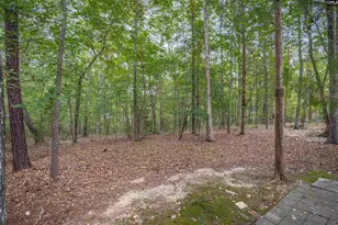 1300 Steeple Ridge Rd, Irmo, SC 29063 - Photo 60