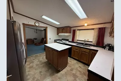 320 Hyman Road, Swansea, SC 29160 - Photo 2