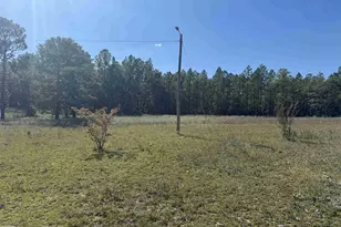 320 Hyman Rd, Swansea, SC 29160 - Photo 18