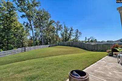818 Ruskin Drive, Chapin, SC 29036 - Photo 54
