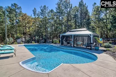 180 Green Hills Drive, Gilbert, SC 29054 - Photo 10