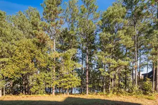 126 Island View Cir, Elgin, SC 29045 - Photo 4