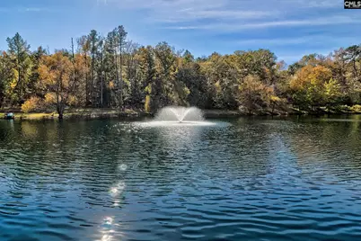 1348 Koon Trestle Road, Pomaria, SC 29126 - Photo 64