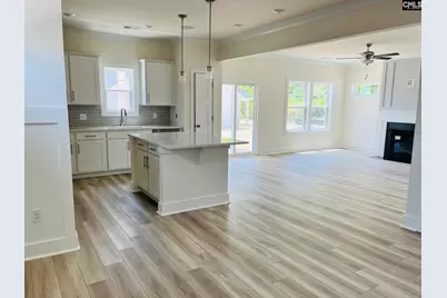 420 Destiny Farm Lane, Blythewood, SC 29016 - Photo 4