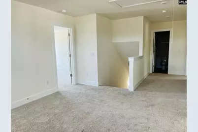 420 Destiny Farm Lane, Blythewood, SC 29016 - Photo 18