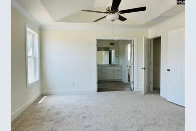 420 Destiny Farm Lane, Blythewood, SC 29016 - Photo 12