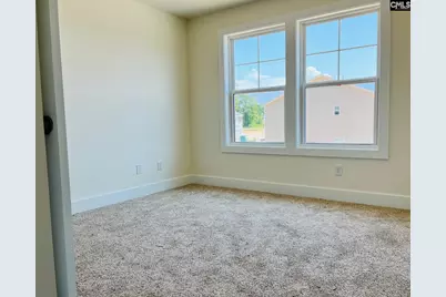 433 Destiny Farm Lane, Blythewood, SC 29016 - Photo 22