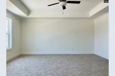 433 Destiny Farm Lane, Blythewood, SC 29016 - Photo 12