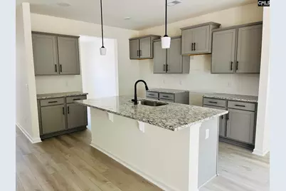 417 Destiny Farm Lane, Blythewood, SC 29016 - Photo 10