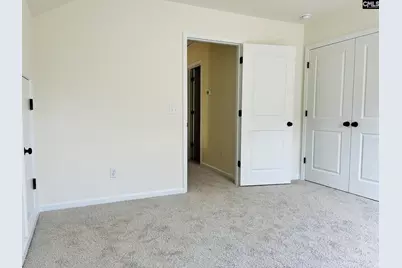 417 Destiny Farm Lane, Blythewood, SC 29016 - Photo 28