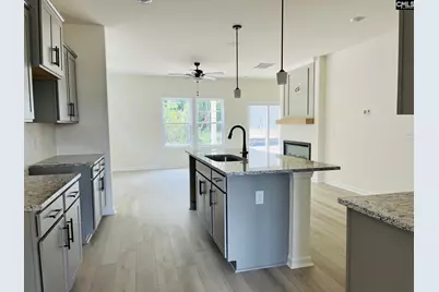 417 Destiny Farm Lane, Blythewood, SC 29016 - Photo 8