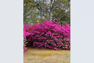 27 Foxhill Court, Columbia, SC 29223 - Photo 44