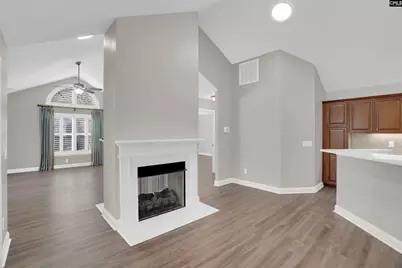 160 Peach Grove Circle, Elgin, SC 29045 - Photo 16