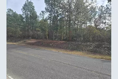 0 Ben Franklin Road, Gilbert, SC 29054 - Photo 2