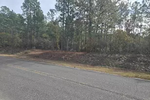 0 Ben Franklin Rd, Gilbert, SC 29054 - Photo 2