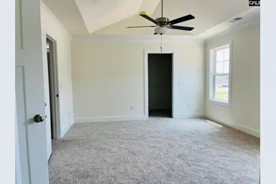 19 Fangango Court, Blythewood, SC 29016 - Photo 12