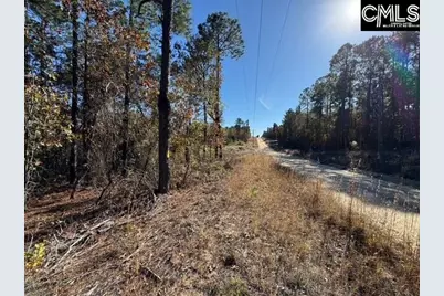 812 Whitehead Road, Lugoff, SC 29078 - Photo 4