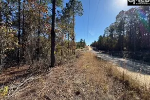 812 Whitehead Rd, Lugoff, SC 29078 - Photo 4