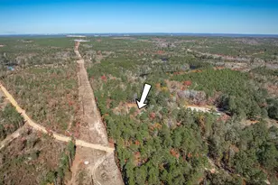 405 Frank Moorer Dr, Swansea, SC 29160 - Photo 68