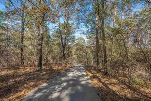 405 Frank Moorer Dr, Swansea, SC 29160 - Photo 80