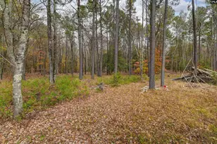 110 Prince Dr, Ridgeway, SC 29130 - Photo 38