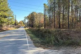 1236 Crane Church Rd, Columbia, SC 29203 - Photo 2