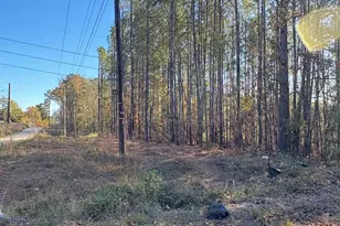 1236 Crane Church Rd, Columbia, SC 29203 - Photo 1