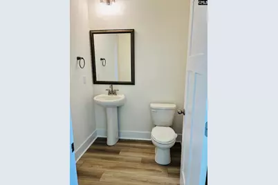 11 Fandango Court, Blythewood, SC 29016 - Photo 10