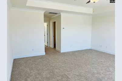 11 Fandango Court, Blythewood, SC 29016 - Photo 26