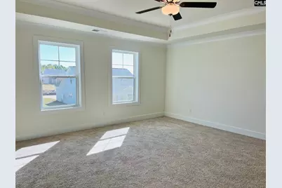 11 Fandango Court, Blythewood, SC 29016 - Photo 28