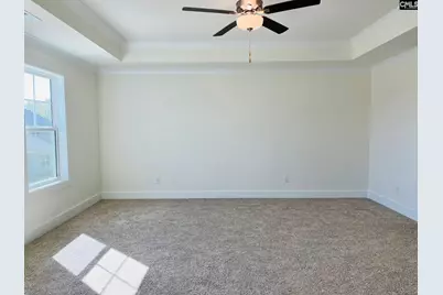 11 Fandango Court, Blythewood, SC 29016 - Photo 24