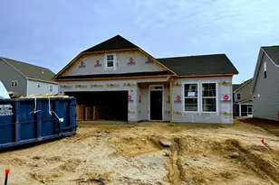 413 Destiny Farm Ln, Blythewood, SC 29016 - Photo 2