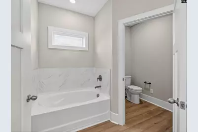 29 Elk Run Court, Chapin, SC 29036 - Photo 28