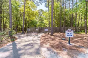 124 Ashewicke Dr, Columbia, SC 29229 - Photo 70