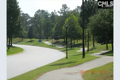 124 Ashewicke Drive, Columbia, SC 29229 - Photo 58