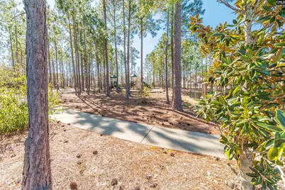 124 Ashewicke Drive, Columbia, SC 29229 - Photo 66