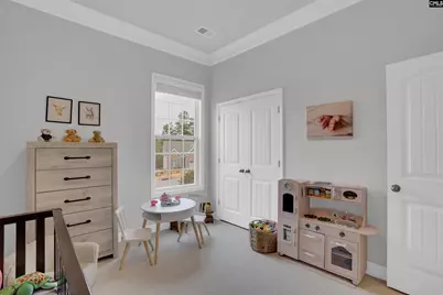 679 Scarlet Baby Drive, Blythewood, SC 29016 - Photo 16