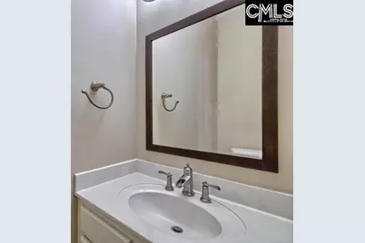 313 Dorchester Drive, Lexington, SC 29072 - Photo 36