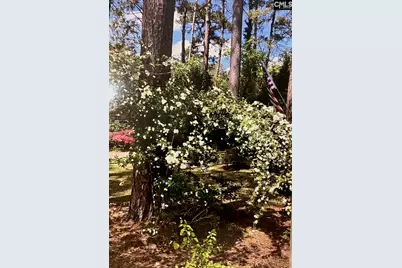 227 N Stonehedge Drive, Columbia, SC 29210 - Photo 42