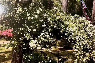 227 N Stonehedge Dr, Columbia, SC 29210 - Photo 42