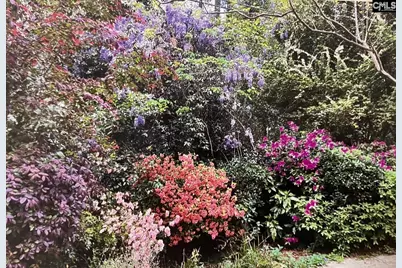 227 N Stonehedge Drive, Columbia, SC 29210 - Photo 40