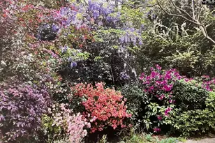 227 N Stonehedge Dr, Columbia, SC 29210 - Photo 40