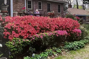 227 N Stonehedge Dr, Columbia, SC 29210 - Photo 44